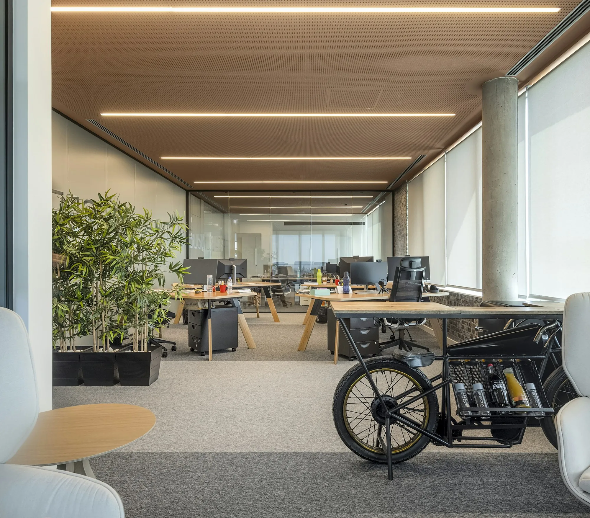 Open office with plants and a bike by the window